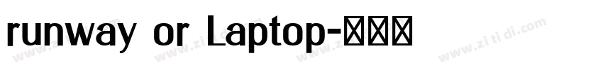 runway or Laptop字体转换